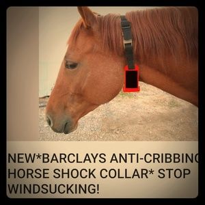 anti cribbing & windsucking collar
